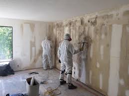 Why You Should Choose Our Mold Remediation Services in Swedeland, PA